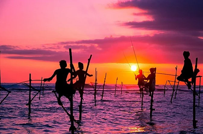 Galle, Flusssafari & Meeresschildkröten